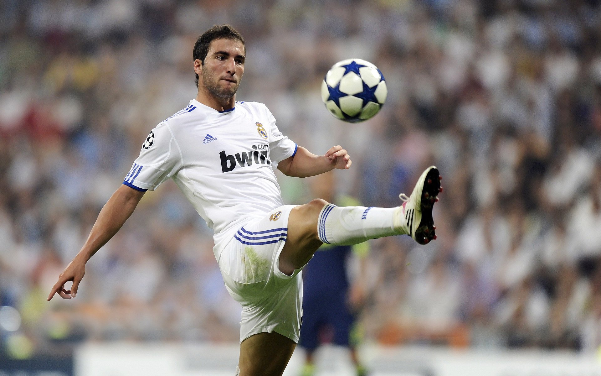 青训摇篮：某豪门球员成长路径全纪录，青训球员标准